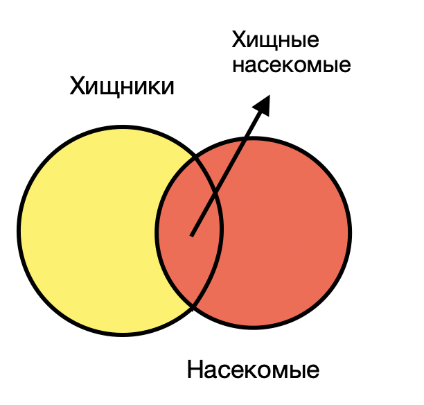 Решение рисунок 1