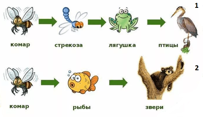 Решение рисунок 1