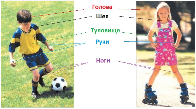 Решение рисунок 1