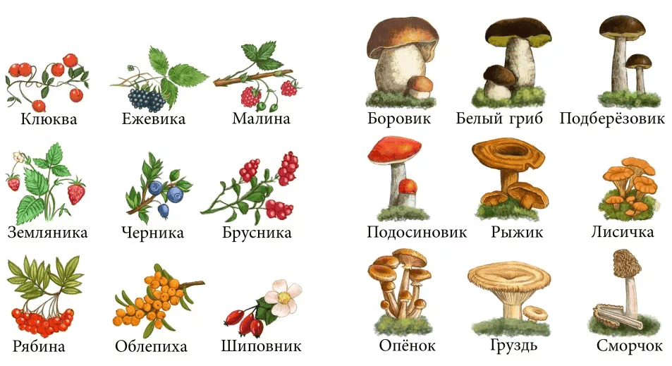 Решение рисунок 1
