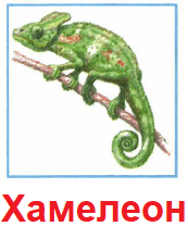 Решение рисунок 3