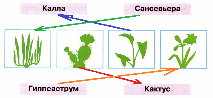 Решение рисунок 1