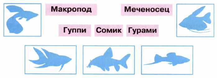 Задание рисунок 1