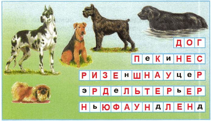 Решение рисунок 1