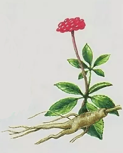 Решение рисунок 1