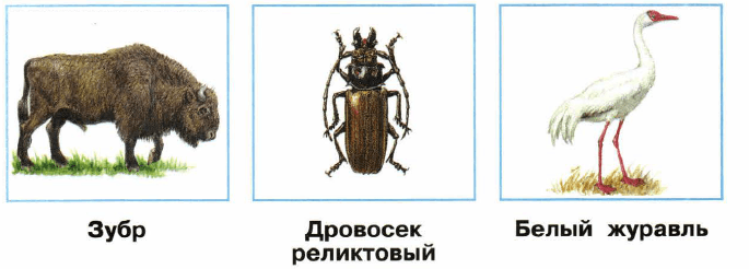 Решение рисунок 1