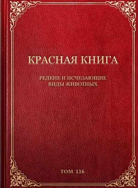 Решение рисунок 1