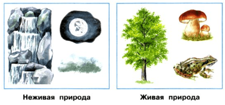 Решение рисунок 1