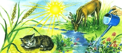 Решение рисунок 1