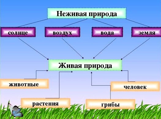 Решение рисунок 2