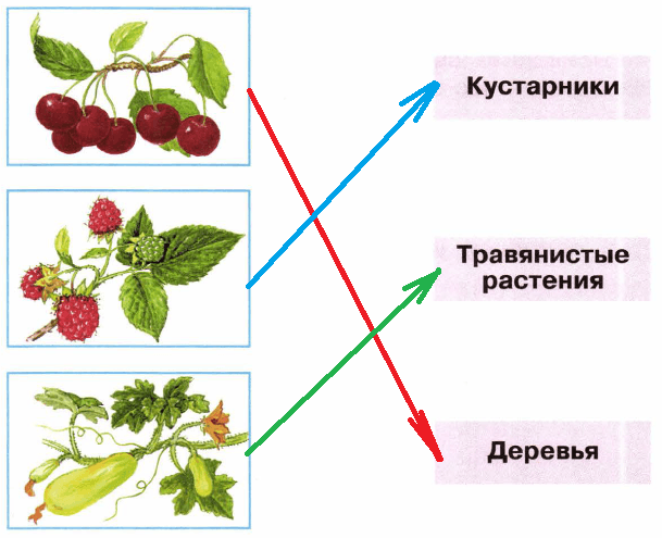 Решение рисунок 1