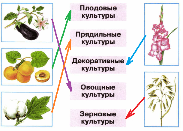 Решение рисунок 2