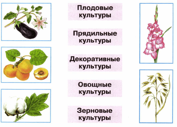 Задание рисунок 2