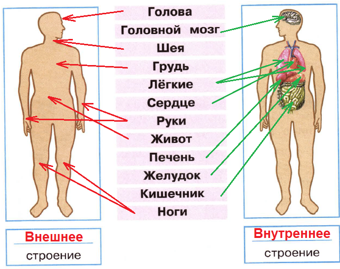 Решение рисунок 1
