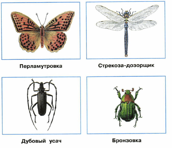 Решение рисунок 1