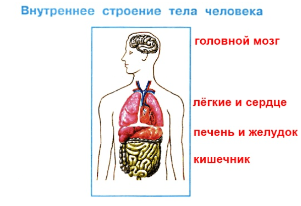 Решение рисунок 1