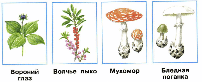 Решение рисунок 1