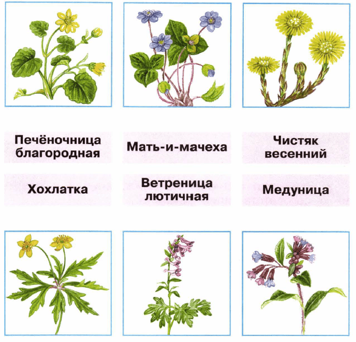 Задание рисунок 1