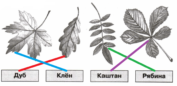 Решение рисунок 1