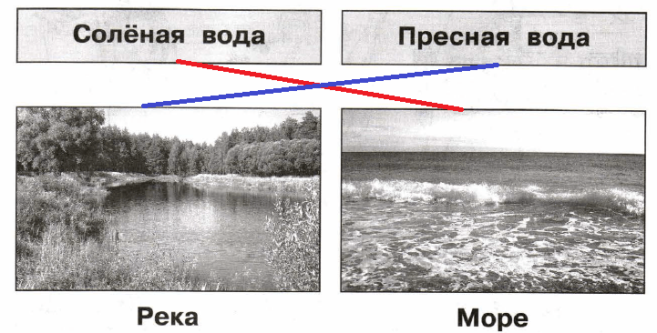 Решение рисунок 1