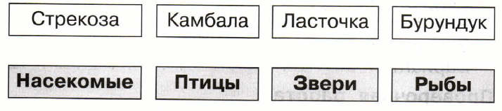 Задание рисунок 1