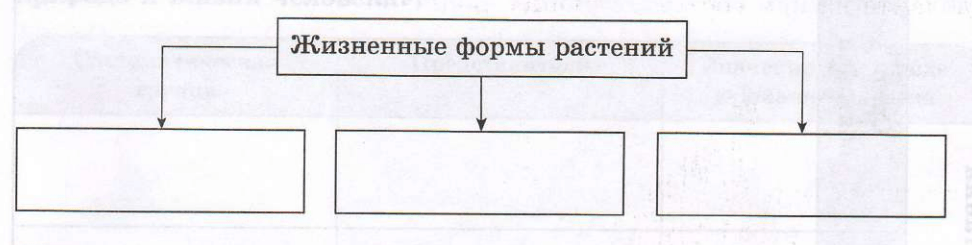 Задание рисунок 1