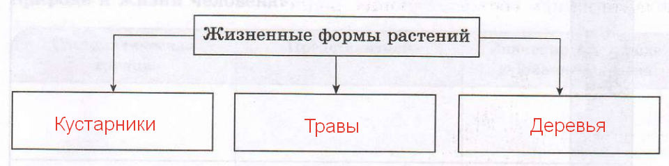 Решение рисунок 1