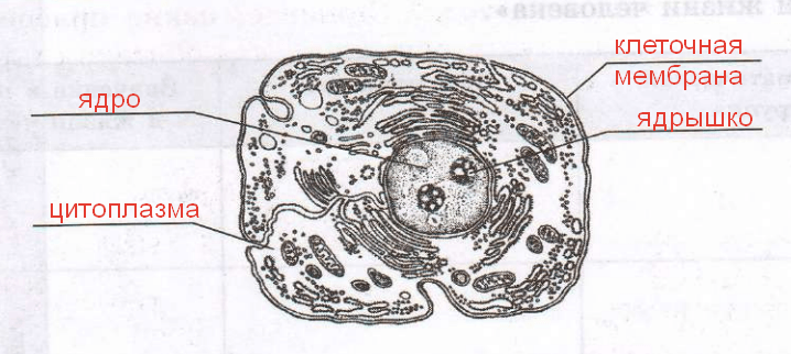 Решение рисунок 1