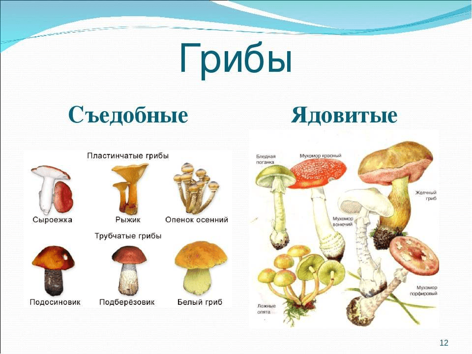 Решение рисунок 1