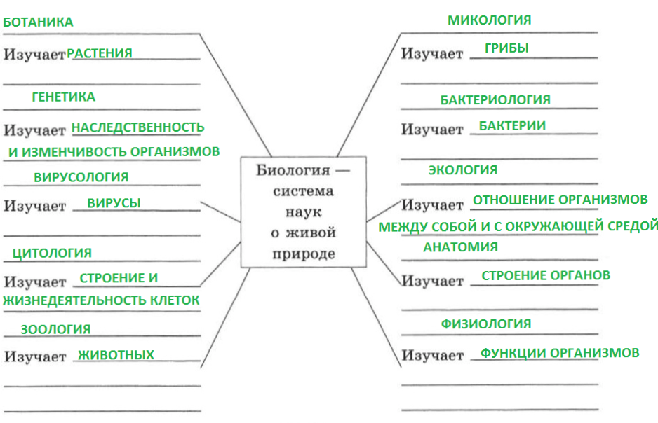 Решение рисунок 1