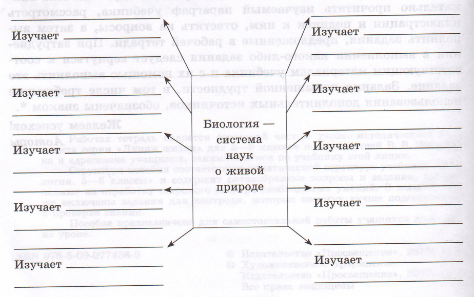 Задание рисунок 1