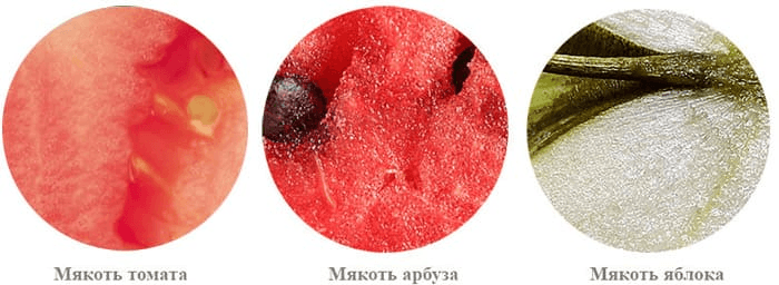 Решение рисунок 2