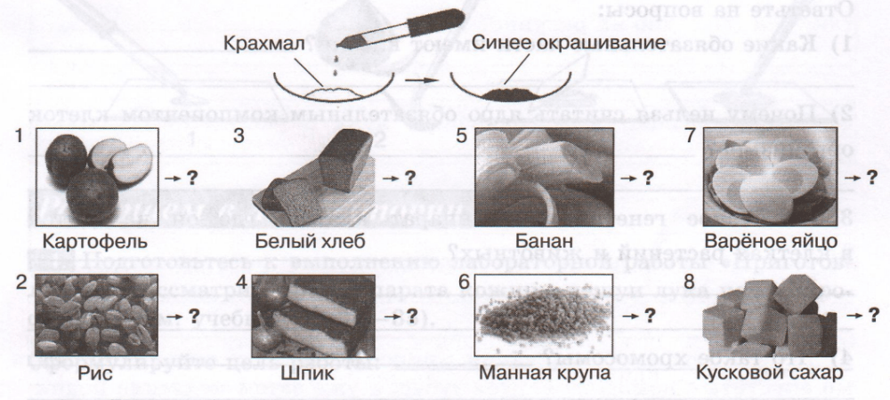 Задание рисунок 1