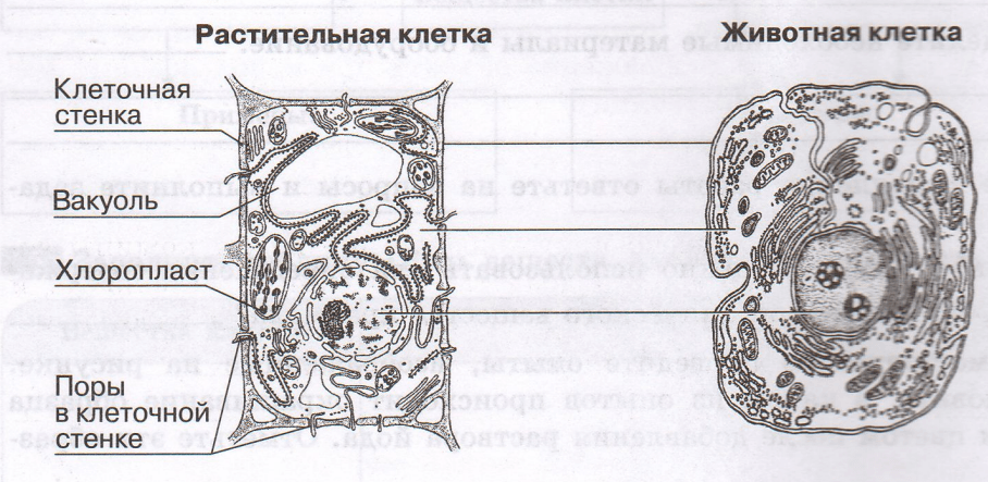 Задание рисунок 1