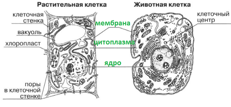Решение рисунок 1