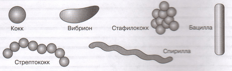 Задание рисунок 1