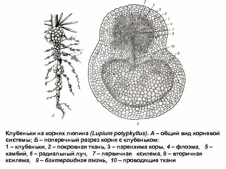 Решение рисунок 1