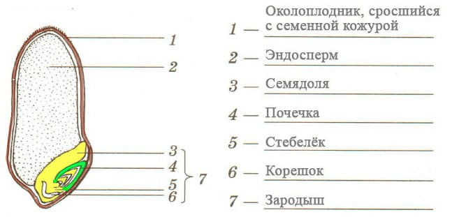 Решение рисунок 1