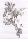 Решение рисунок 3