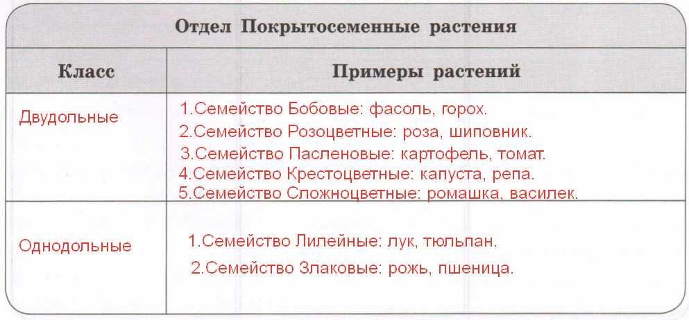 Решение рисунок 1