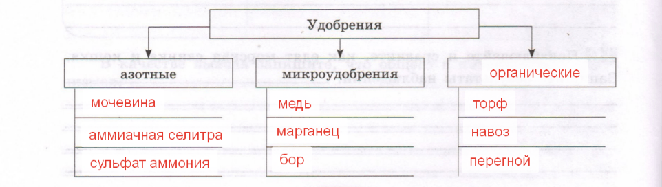 Решение рисунок 1