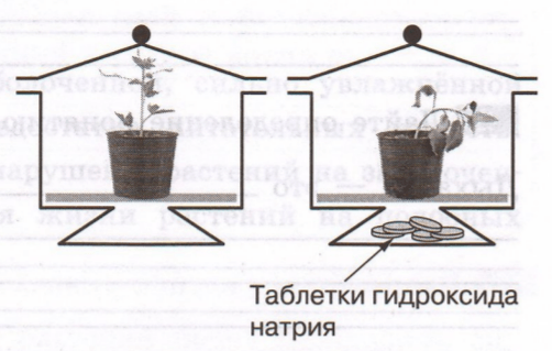 Задание рисунок 1