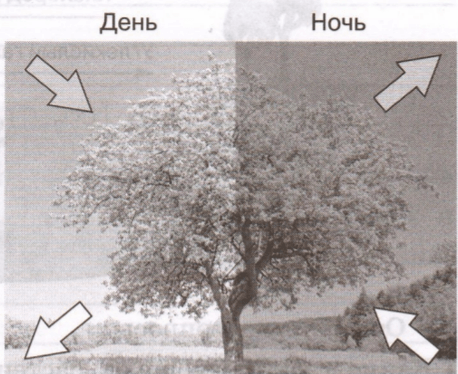 Задание рисунок 1