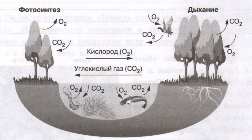 Задание рисунок 1