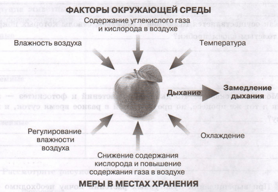Задание рисунок 1