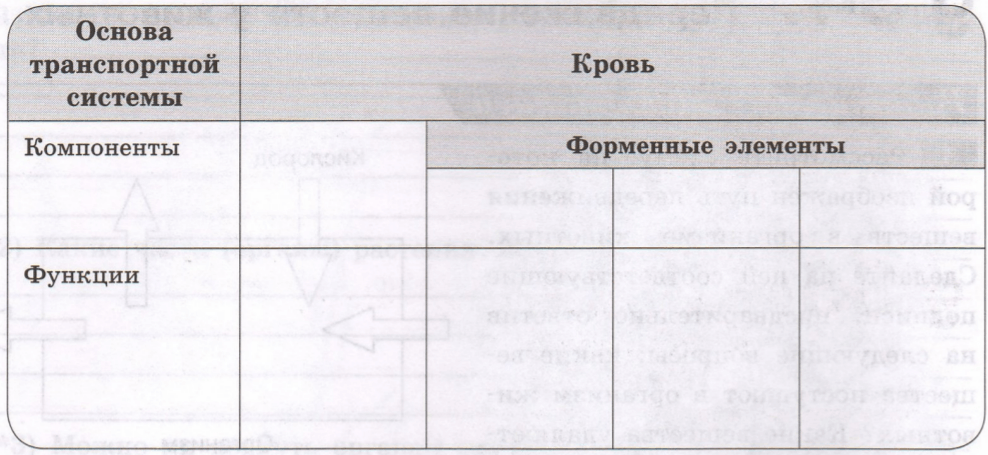 Задание рисунок 1