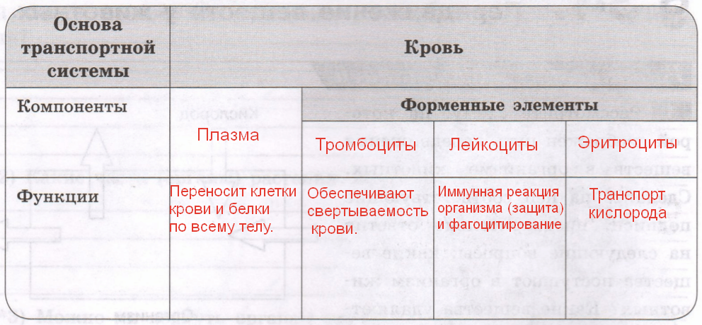 Решение рисунок 1