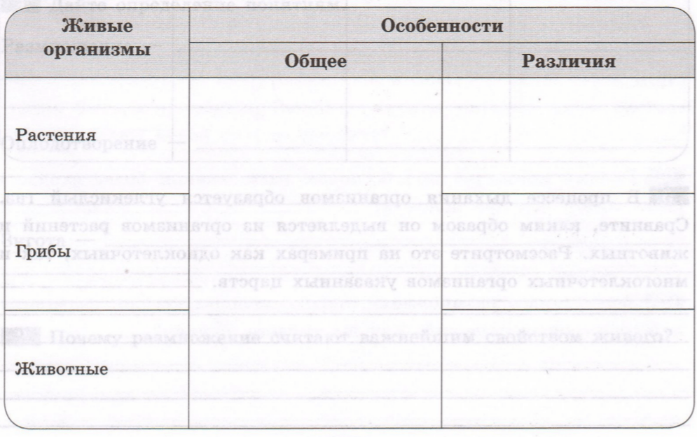 Задание рисунок 1