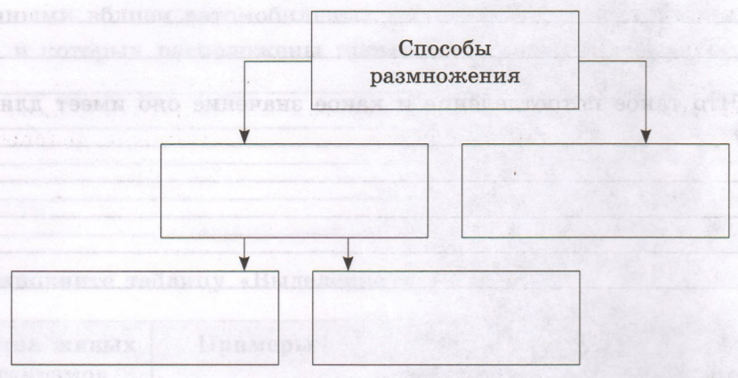 Задание рисунок 1