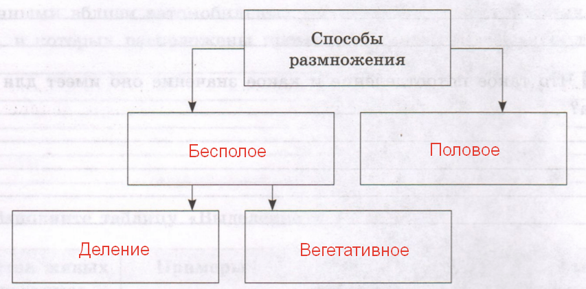 Решение рисунок 1